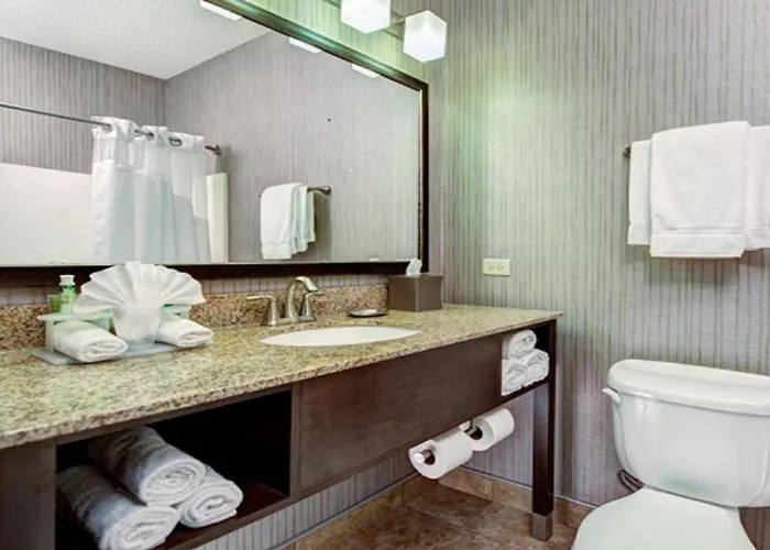 Express & Chicago Deerfield Lincolnshire By Ihg Hotel 2*